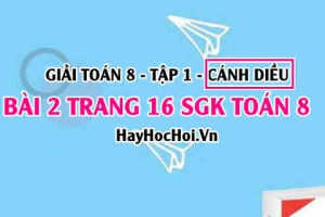 Giải bài 2 trang 16 Toán 8 Tập 1 SGK Cánh Diều
